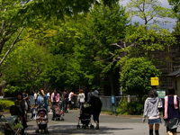 Hamamatsu Zoological Gardens